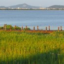 삽교호 호수공원 야구장 이미지