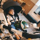 ㈜하이클래스오토모빌 | 디럭스, 절충형, 휴대용 / 퀴니, 타보, 리안, 제로 유모차 장단점 비교