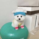 우리할매떡볶이의정부 - 의정부시 부용로95번길 18 | 우리할매떡볶이의정부