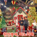 pet139거3377 | [천안카페]피노카페 천안 크리스마스 카페:겨울이벤트 안내 방문 꿀팁🎅