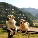 마루네일 이미지