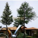 오름종합건설(주) 이미지