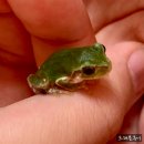 골프 가족텔 이미지