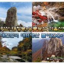 11/10[일]설악산+단풍시즌+대청봉(블야100+)-흘림골-산행안내/좌석표 이미지