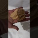 11월 9일 떡밥정리 이미지