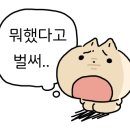 해변민박 이미지