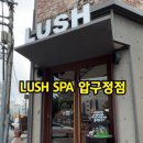스펠 - 고창군 구시포안길 38 | 러쉬 스파 압구정점 더스펠 내돈내산후기