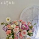 이소플라워 - 서구 둔산로137번길 28 | 이소플라워