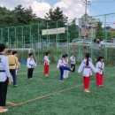 대호체육도장 이미지