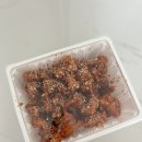 강정2