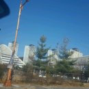 대덕초등학교도룡분교 이미지