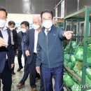 일성유통