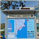 나사항2 Daum카페