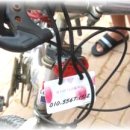 금정체육공원경륜장 이미지