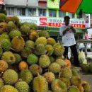 DURIAN &amp; COLA 이미지