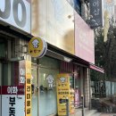 이뿌개 | 구로 애견미용 이뿌개에서 포메 곰돌이컷 받은 솔직후기