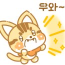 마켓해니