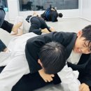 퍼팩트주짓수 이미지