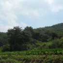 갑천면우체국 이미지