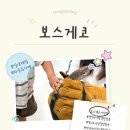 이파리샵 | 경기도 아이랑 갈만한곳 경기이천 "보스게코" 파충류카페 다녀온 후기_이천 파충류샵