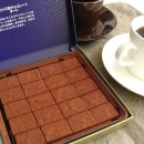 리얼엠(REAL M) 이미지