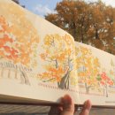 은행나무약국 이미지