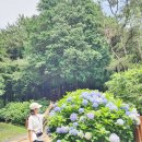 매정리국도쉼터 공중화장실 | 경남 등산 추천 고성 갈모봉 자연휴양림 북카페 수국명소