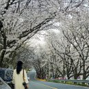 금락정(부용리) 화장실 네이버블로그