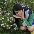 매봉산 바람의언덕 이미지