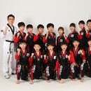 용인대 현대태권도장 이미지