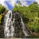 미래한의원 이미지