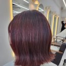 보그헤어샵 이미지