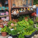 풀꽃세상채식뷔페 이미지