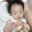 선지공원 이미지