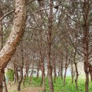 금동농장 이미지