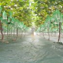 청비농장 이미지