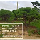 하늘빛농원 이미지