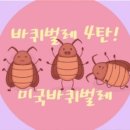 서동방역 이미지