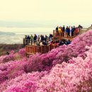 고려산 이미지