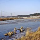 천의1리 이미지