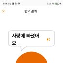 고양이 번역기 이미지