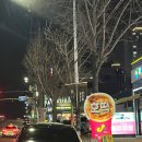 세진 | 대구 서구 로또 명당 | 세진전자통신복권 방문 후기