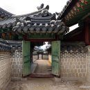시선플러스 네이버블로그