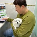 새싹 동물병원 이미지