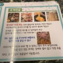 오아시스조개 수완본점에서 수완지구조개구이 먹고온 따끈한 후기