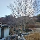 수현빌 이미지
