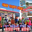 16Camping BUS 불멍 줄기기테마 이미지