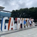 낙동강변로6-13 | 남이섬 여행 후기｜당일치기 코스·입장권·카페·닭갈비 존맛집 추천(조무락닭갈비 내돈내산)