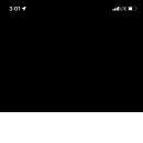 진향태권도장 이미지