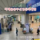 국제행정사사무소 이미지